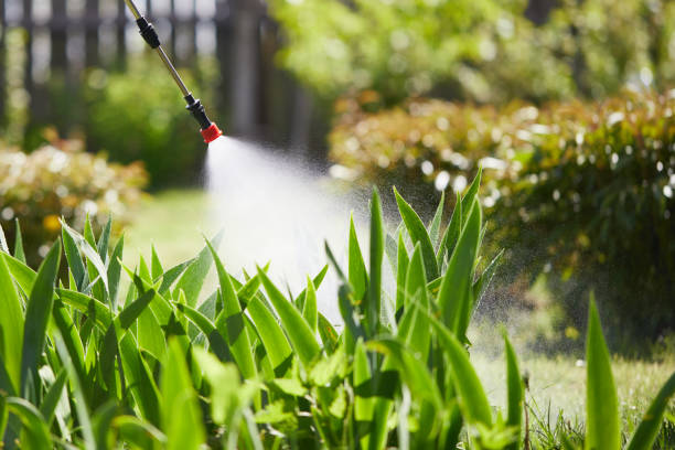Tamper-Resistant Bait Stations for Rodents in Pine Valley